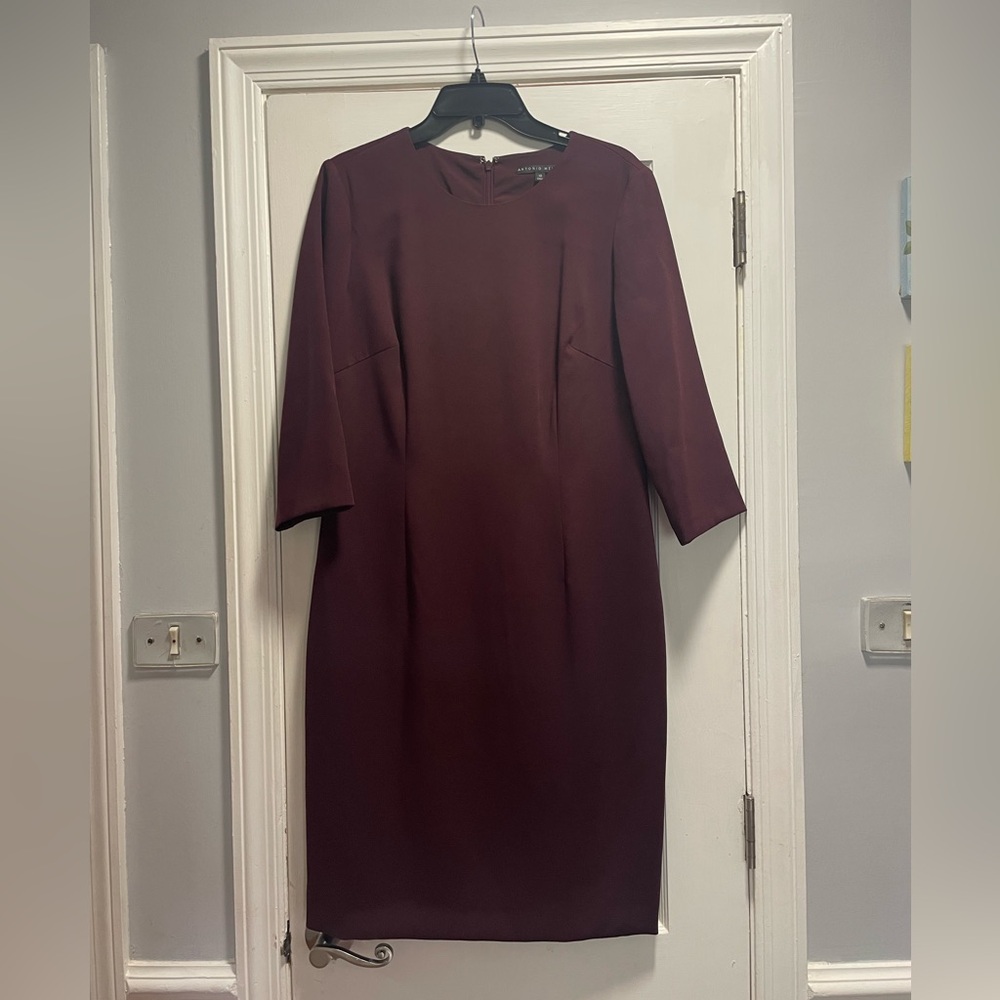 Deep burgundy professional fitted dress by Antonio Melani, Size 10.